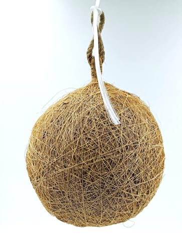 Set of 6 nests Handcrafted Jute Bird Nest for Cages, breeding, Wild Birds - Cozy Haven for All Medium,Small Birds Like Sparrows, Finches & Java Sparrows