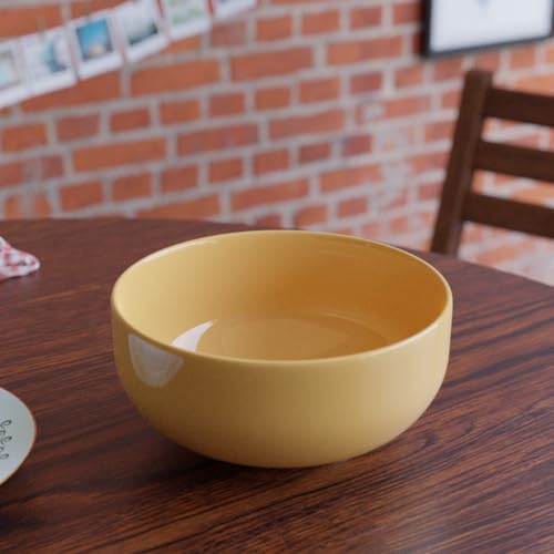 4 Set Ceramic Bowl (500ml) with Multipurpose Uses Lid, Coaster | Dishwasher & Microwave Safe | Ideal for Rice, Dal, Fruits, Salad, Snack Bowl | Mixing Bowl