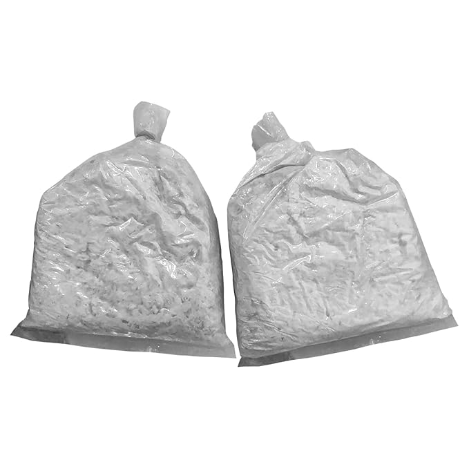 White Oyster Mushroom Spawn for Home Growing - 400g First Generation Organic Mushroom Seeds for Indoor & Outdoor Cultivation, Ideal for DIY Kits and Multiple Harvests