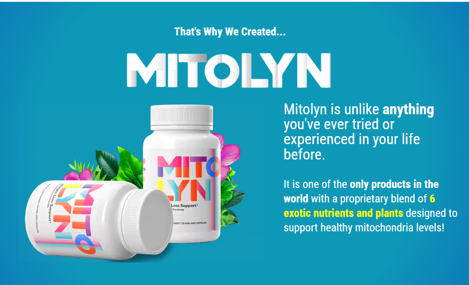 MITOLYN, unlock your metabolic power, burn more calories and feel great with MITOLYN