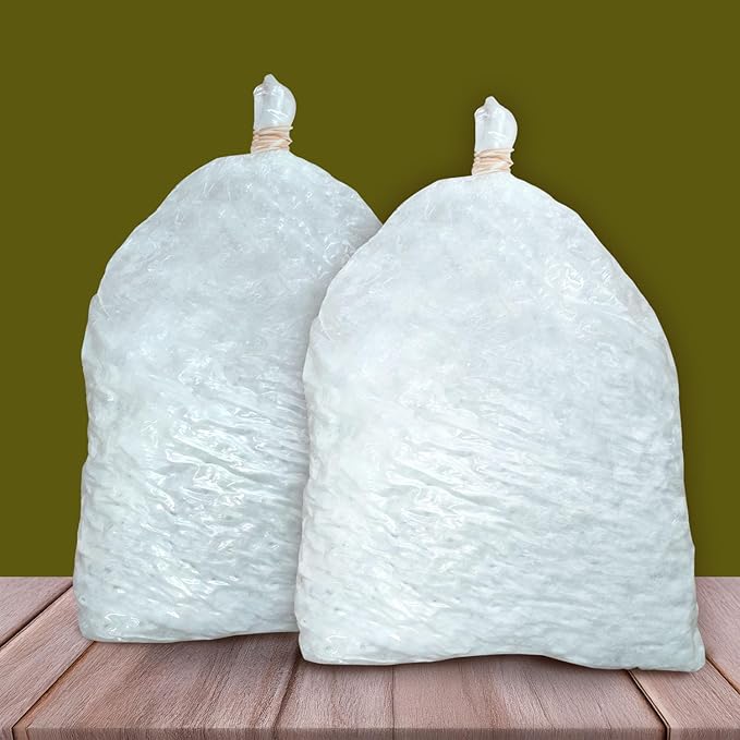 White Oyster Mushroom Spawn for Home Growing - 400g First Generation Organic Mushroom Seeds for Indoor & Outdoor Cultivation, Ideal for DIY Kits and Multiple Harvests