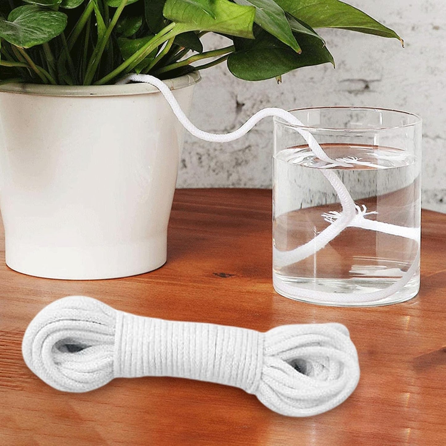 50 ft self-watering wick cord for potted plants