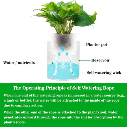 50 ft self-watering wick cord for potted plants