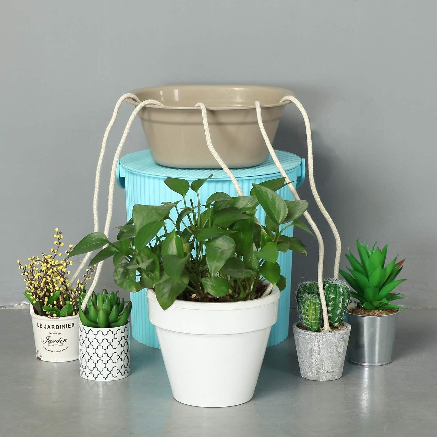 50 ft self-watering wick cord for potted plants